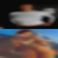 Fuck Springfield