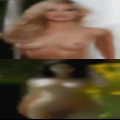 Cougars