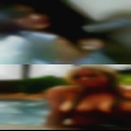 Gainesville, Florida swingers