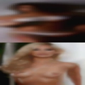 Pussy Hallandale